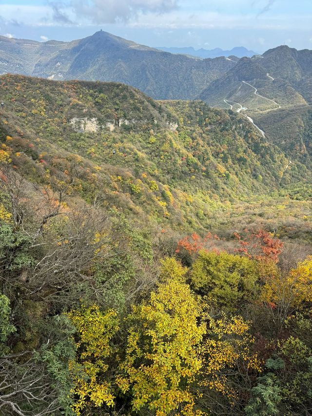 8日穿越南充-秦嶺-巴中 溫泉之旅太愜意了