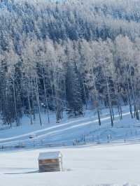 新疆白哈巴｜那些被雪山房子治癒的瞬間