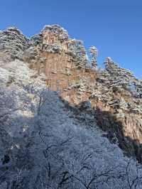 黃山3日遊 長者遊玩全攻略