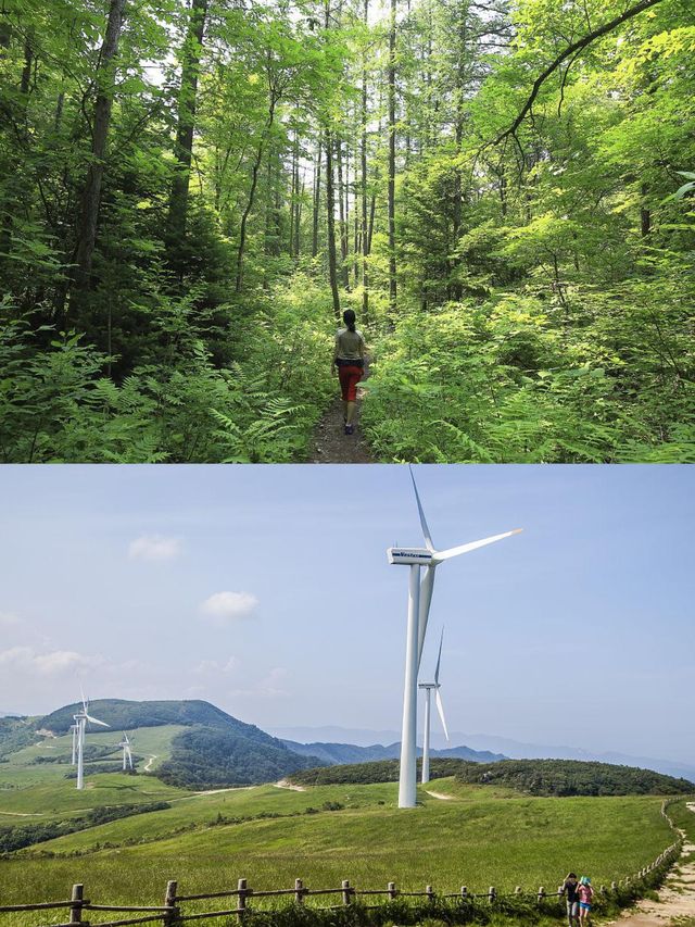 平昌兩日遊，冬奧之城的魅力之旅！