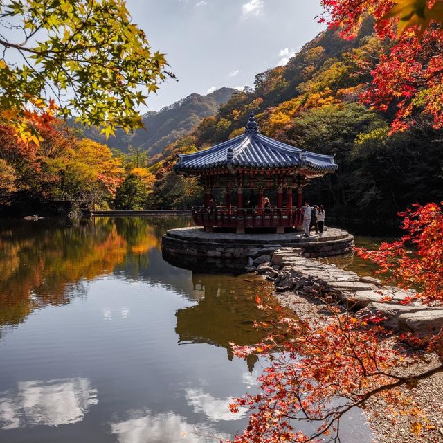 Beautiful Autumn View Naejangsan Park