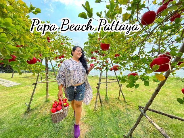 สวนเอเปิ้ล@papa beach