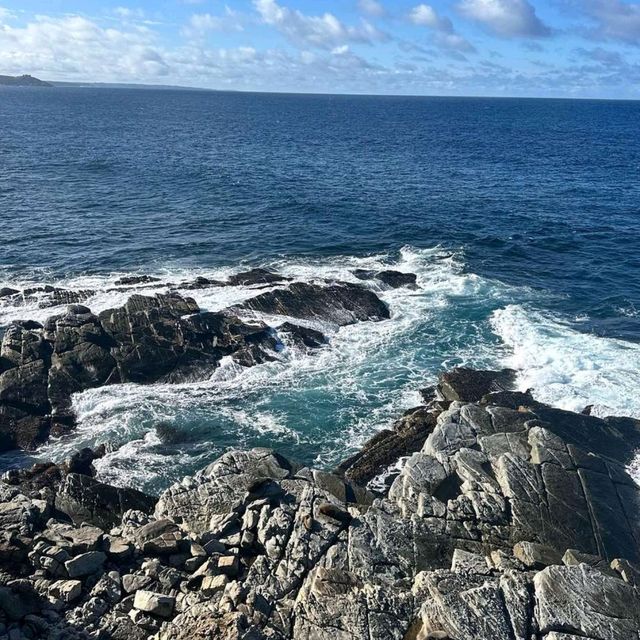 Kangaroo Island: Nature's Wonderland 🏝️🦘