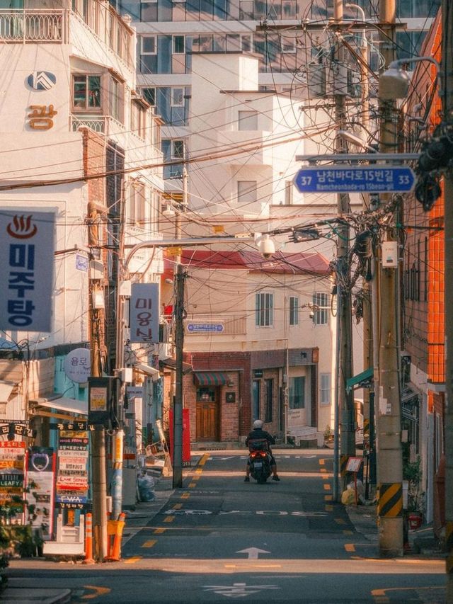 Explore the Vibrant City of Busan 🇰🇷🌊