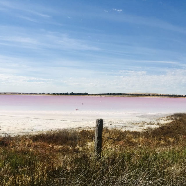 "Lake Hillier: Australia’s Stunning Pink Lake"