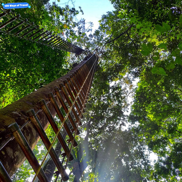 🇲🇾 Reconnect with Nature at Sungai Congkak Recreational Forest