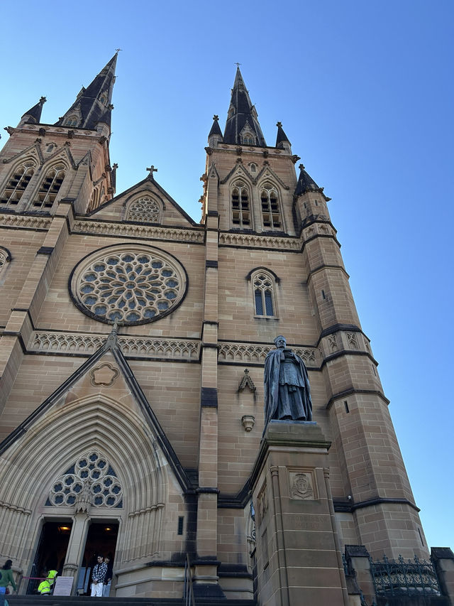 호주 시드니 “세인트 메리 대성당”🤎🇦🇺