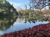 Green Lake Park: Kunming’s Timeless Gem