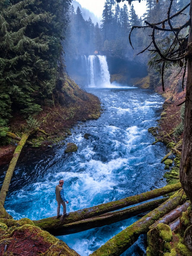 Exploring the Tranquil Waterfalls of the Pacific Northwest🚿