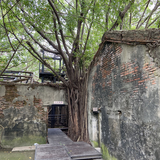 臺南｜第一次去台南必排景點-安平樹屋