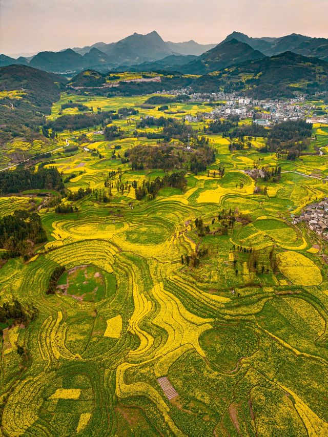 《國家地理》沒騙我