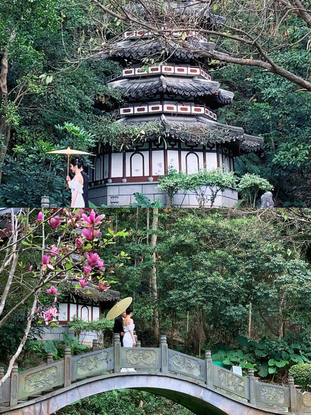 春韵古風丨園博園中式園林賞三角梅