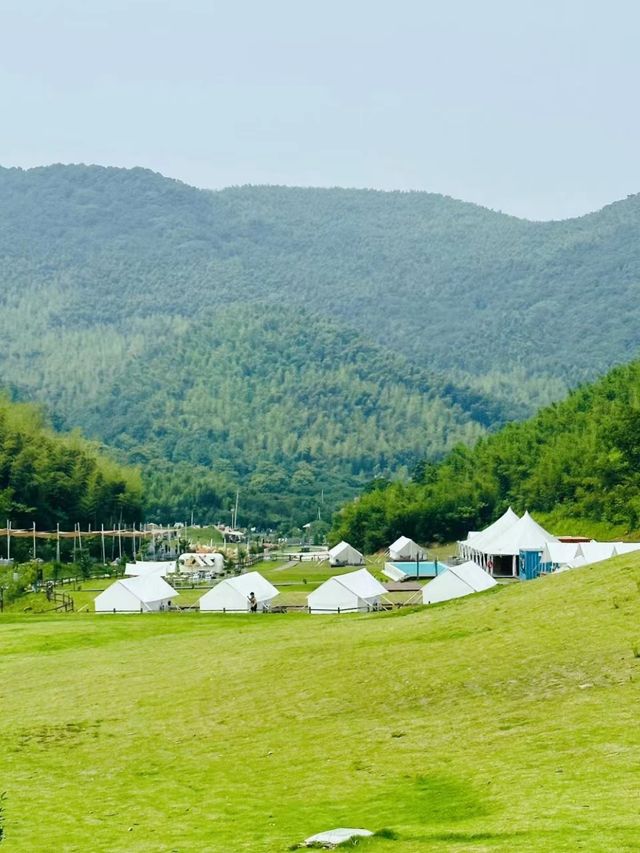 莫干山旅行 | 和森林來一場近距離約會。