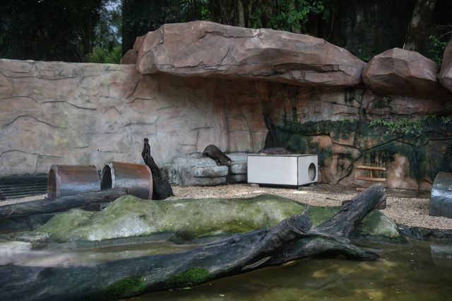 廣州動物園