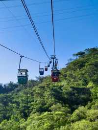 雲間俯瞰——廈門鐘鼓索道上的山海遨遊