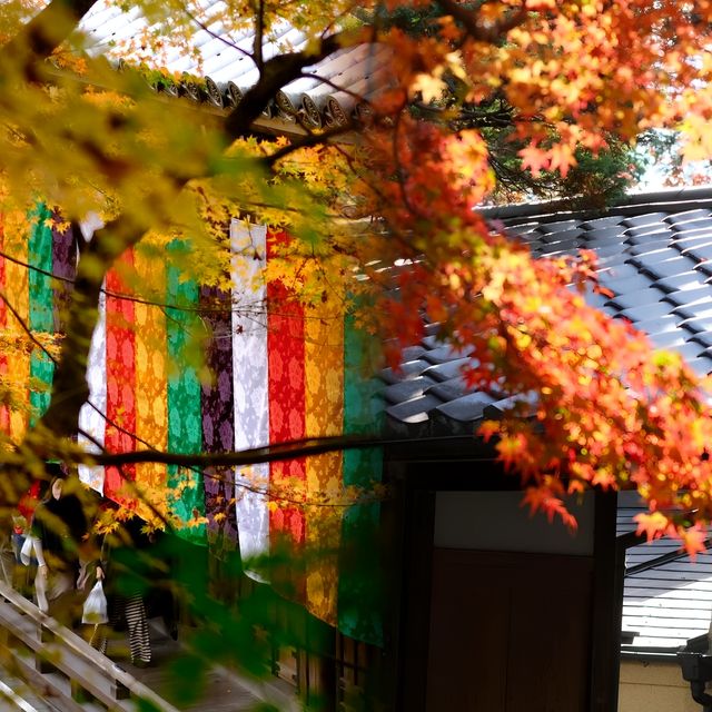 京都旅行·那些年最愛的紅葉景點||。