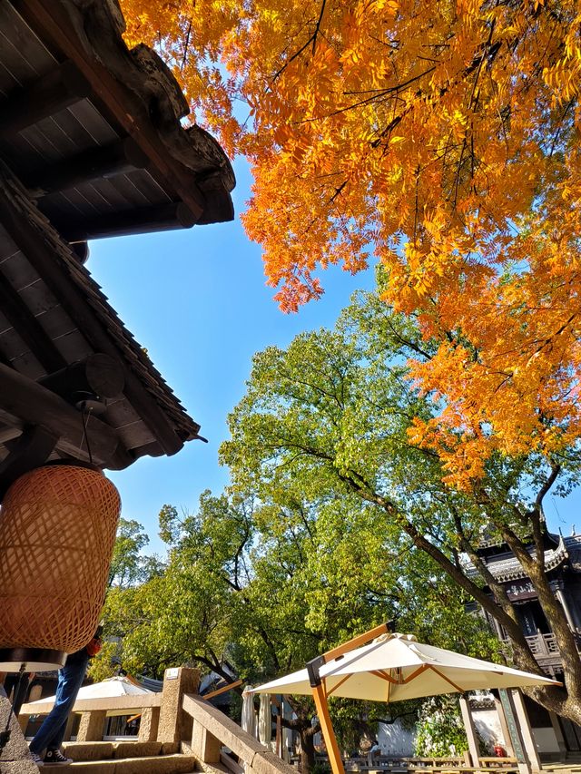 地鐵4號線直達，這裡的秋冬景色火出