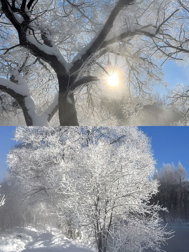 伊春｜感受冰雪中的慢生活時光