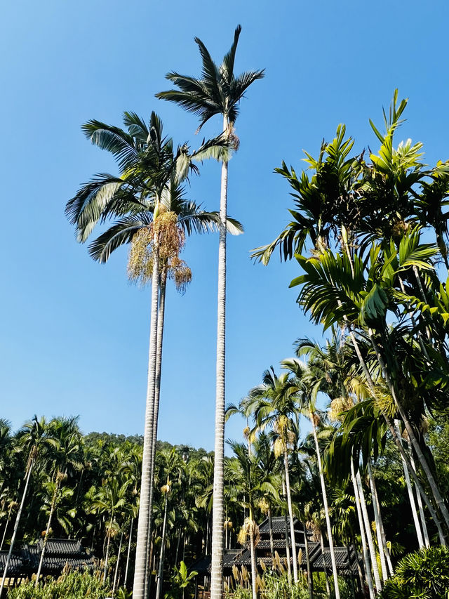 南寧青秀山風景區旅遊攻略