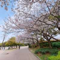 大阪兩日遊：深度探索都市的獨特魅力