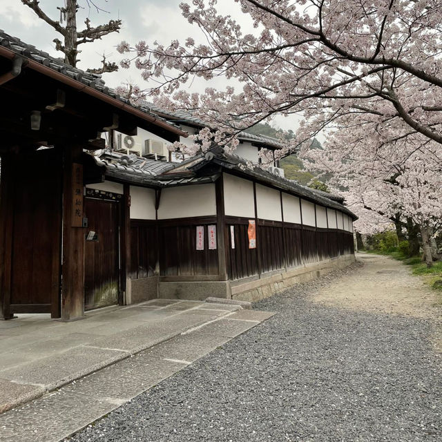 京都兩日遊：探索隱藏的寶石與寧靜之美