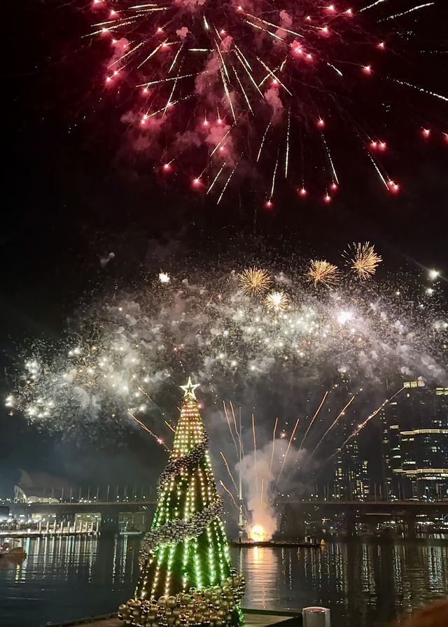 Experience the 7-Minute Fireworks Show at Darling Harbour