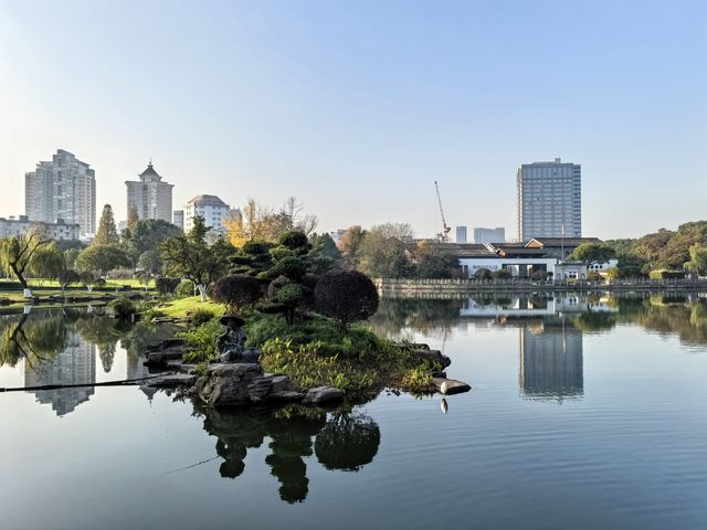 月湖公園的早晨丨穿越四季的江南園林