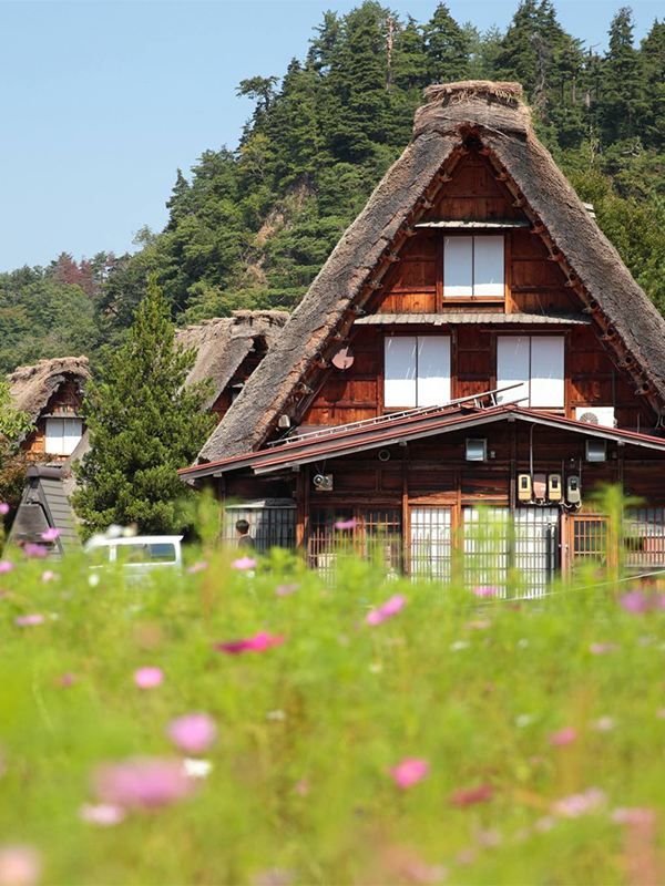 日本8日溫泉之旅不踩雷攻略