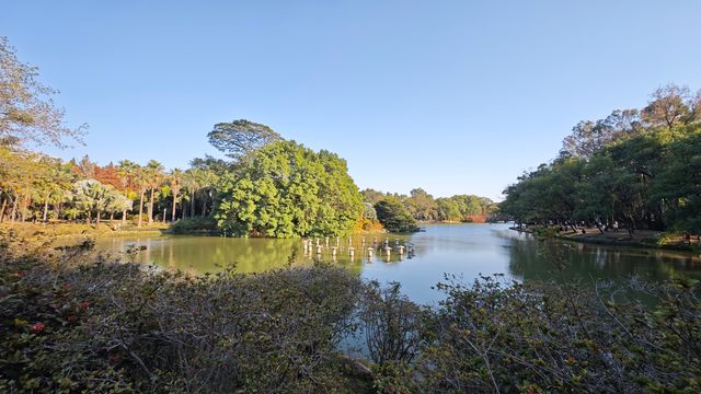 下午四點，來華南植物園，會有驚喜