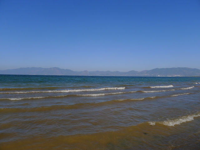 撫仙湖·月亮灣濕地公園——在雲南「看海」