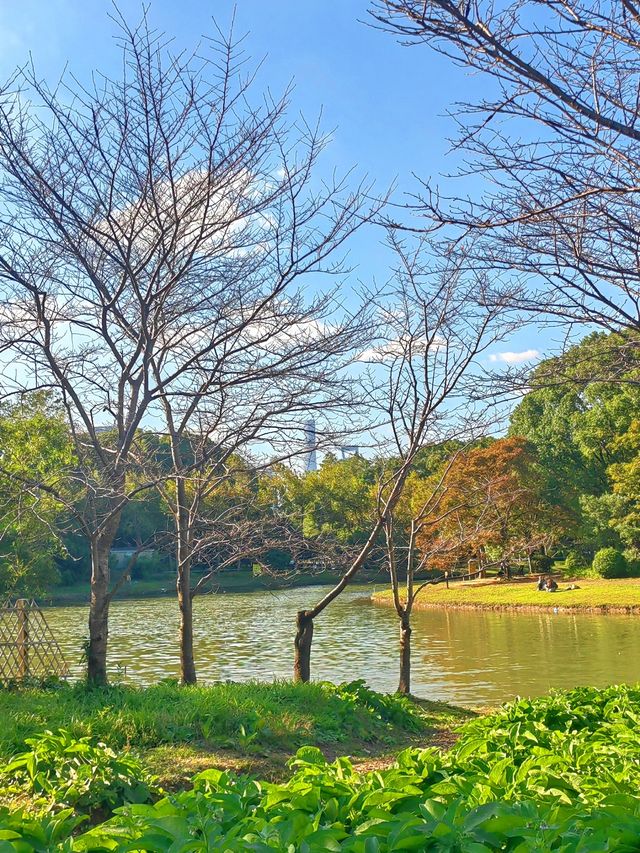 初秋的上海世紀公園