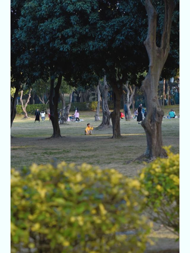 遛娃好去處｜忠倫公園散步的愜意時光！！