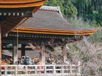 Hatsumōde at Kiyomizu-dera ⛩️