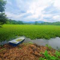 Your Green Oasis Just 45 Minutes Away From KL 