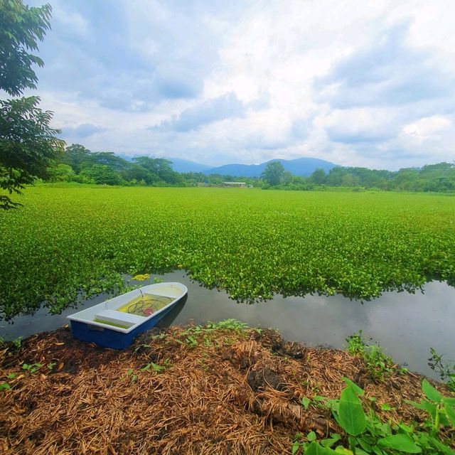 Your Green Oasis Just 45 Minutes Away From KL 