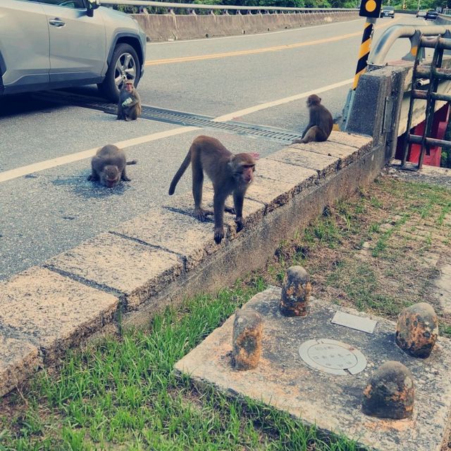 東部海岸風景區：悠閒體驗大自然的瑰寶