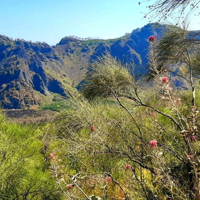 Mount Vesuvius