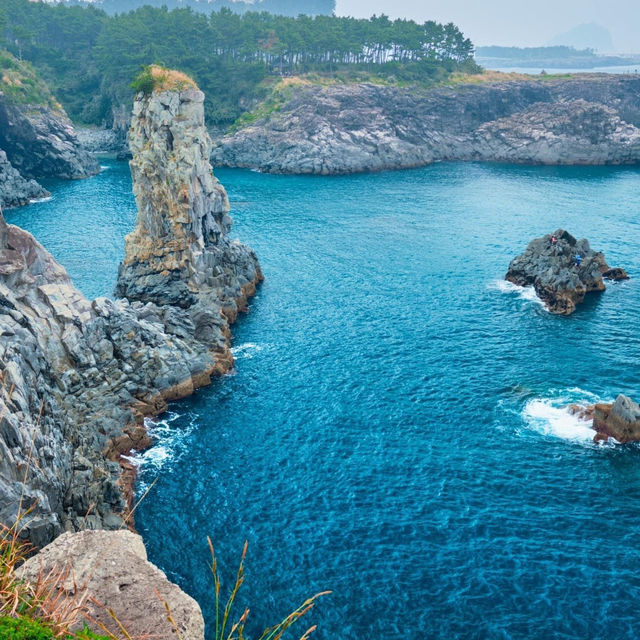 Natural Wonders Await on Jeju Island