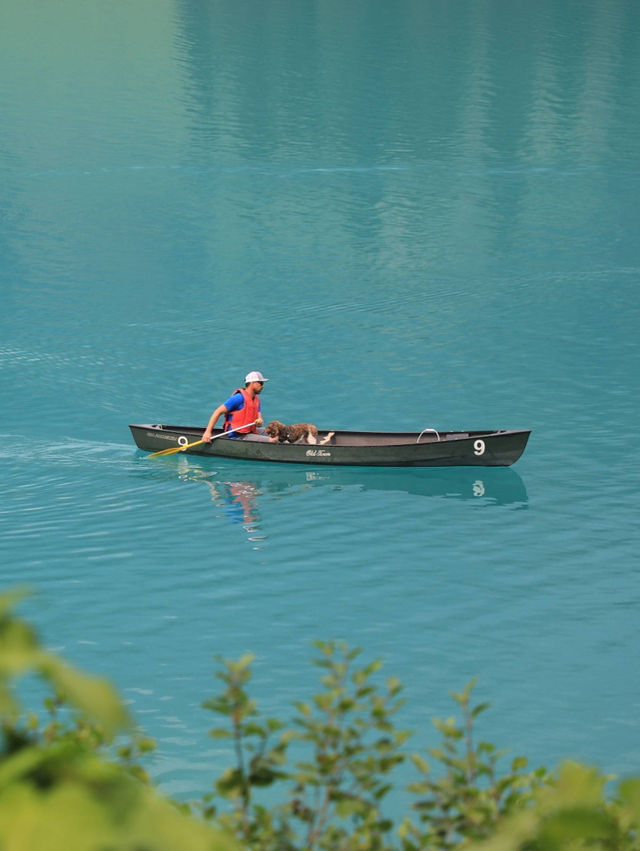 【ヨーホー国立公園🇨🇦】鮮やかなエメラルドグリーンの絶景