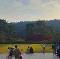 A Journey Through Traditional Korean Art and Serenity