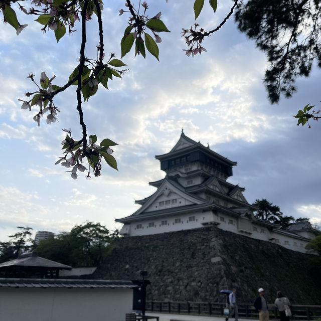 🏯 ปราสาทโคคุระ (Kokura Castle 小倉城) 