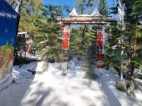 Snow Festival ในไทย หิมะสีขาว กับอากาศหน้าหนาว