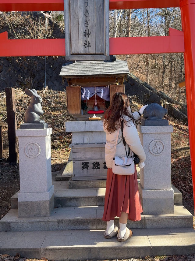 天上山公園 - 一覽無遺富士山打卡攻略🤍