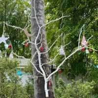 Holiday spirit is merry in Maldives 