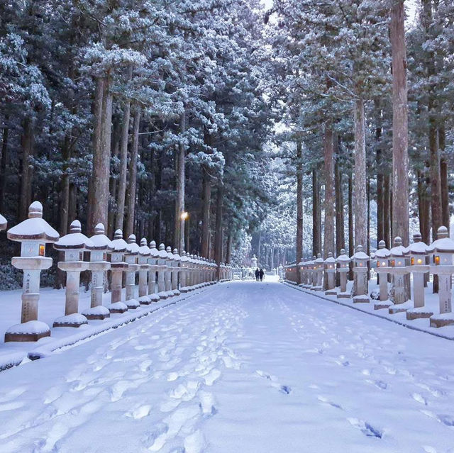 Koyasan #โคยะซัง 高野山 หน้าหนาว