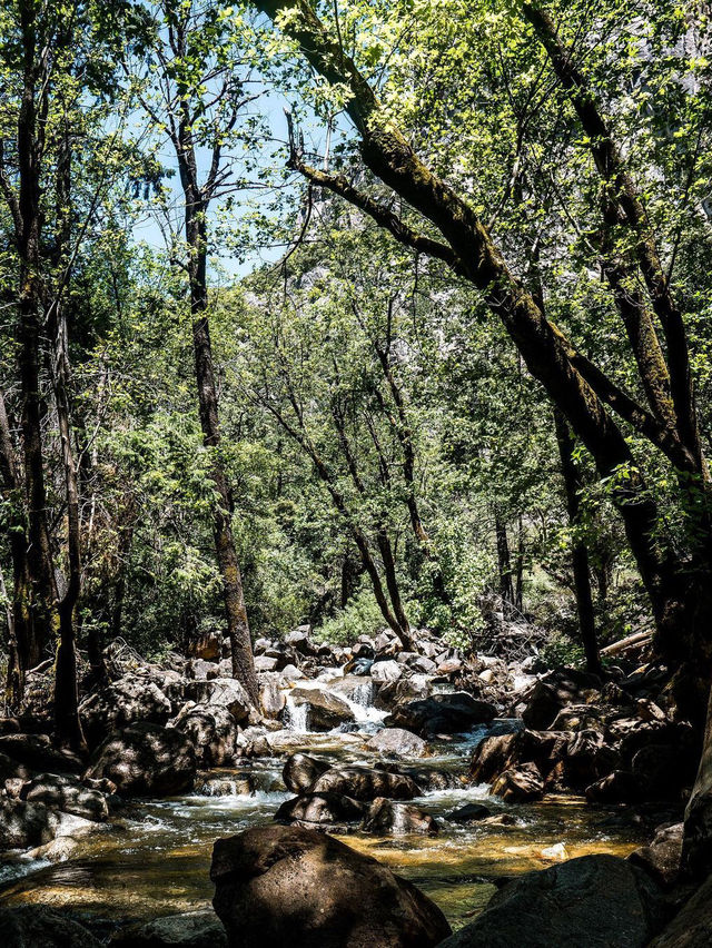 Yosemite National Park