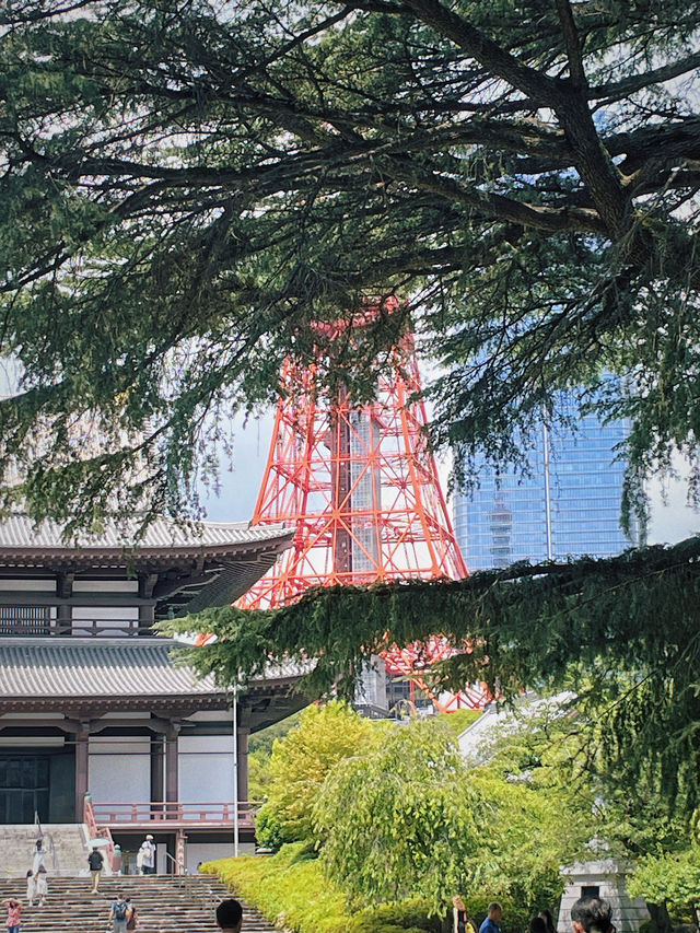 增上寺 | 東京塔下的古早寺廟 🟤