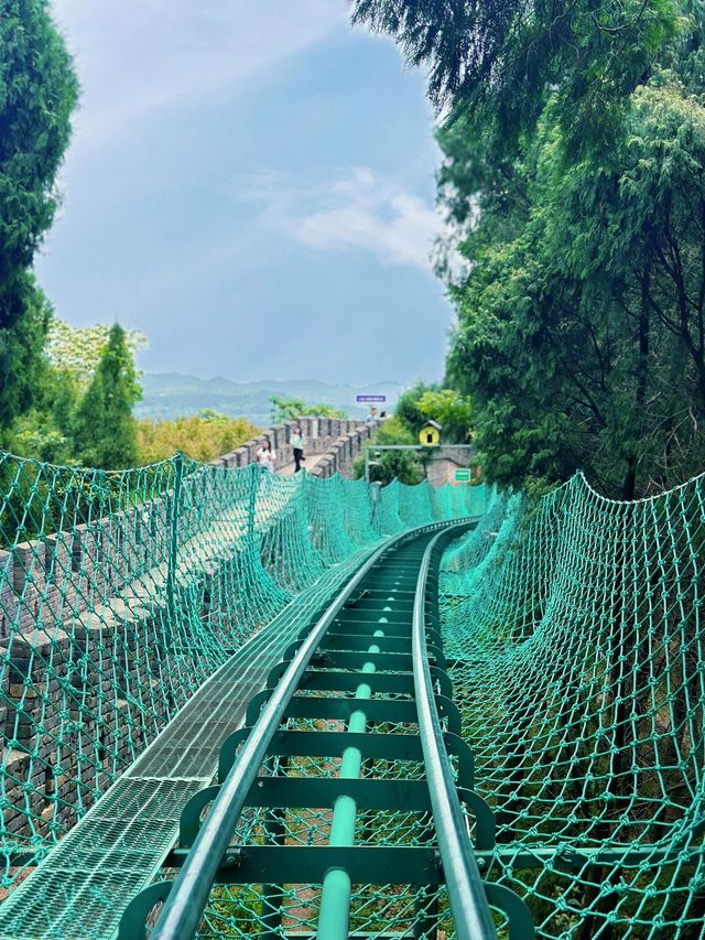 戶外遛娃天花板|爬長城坐叢林過山車咯