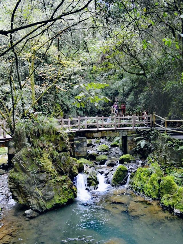 黑山谷|打卡重慶黑山谷風景區