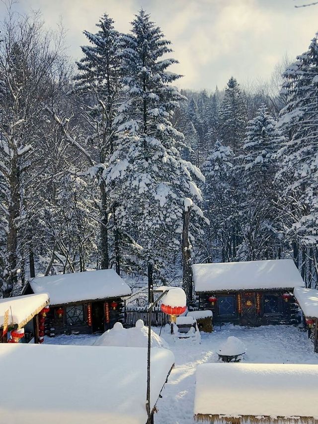 雪鄉等地2日遊 玩轉冬日童話世界超詳細攻略來襲